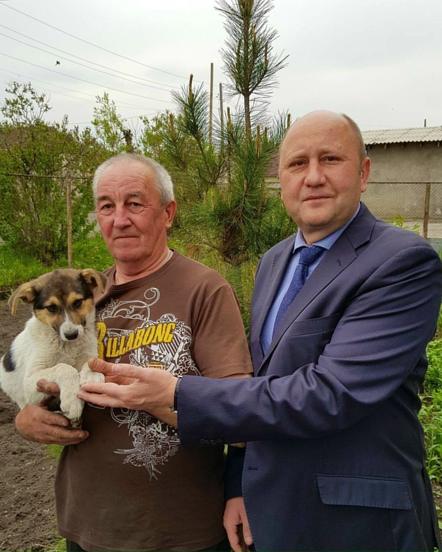 фото Дворняжка из приюта обрела свой новый дом у моего папы!!!! @ Заводский район