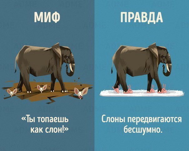https://pp.userapi.com/c836222/v836222306/3b470/KR4pzIR6_6A.jpg