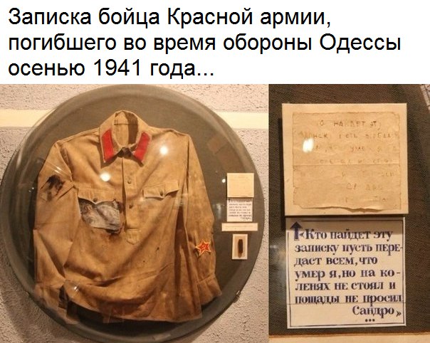 https://pp.userapi.com/c836222/v836222306/3c55b/cVwJ6rwLdTU.jpg