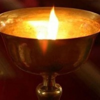 Марина Николаева