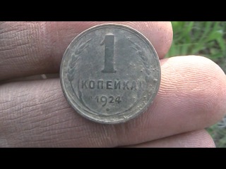 Ранний утренний коп и Лось. Поиск с Minelab X-TERRA 705.