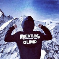 Антон Панин