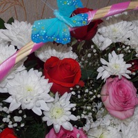 Елена Климина | 