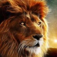 Вячеслав Новожилов | Усть-Донецкий