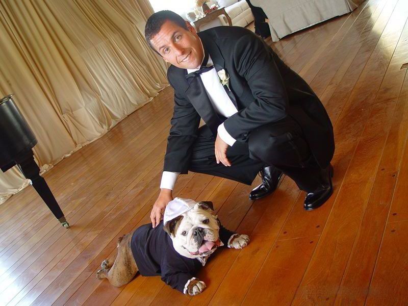 Adam Sandler