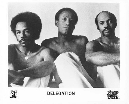 Delegation