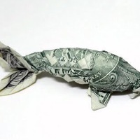 Максим Павловский