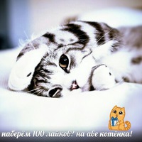 Зарина Сулейманова |