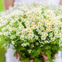 Марина Дёменко | 