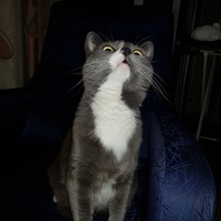 Елена Александрова