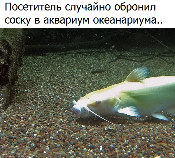 https://pp.userapi.com/c836228/v836228306/3bc9b/lmtoc7YONgU.jpg