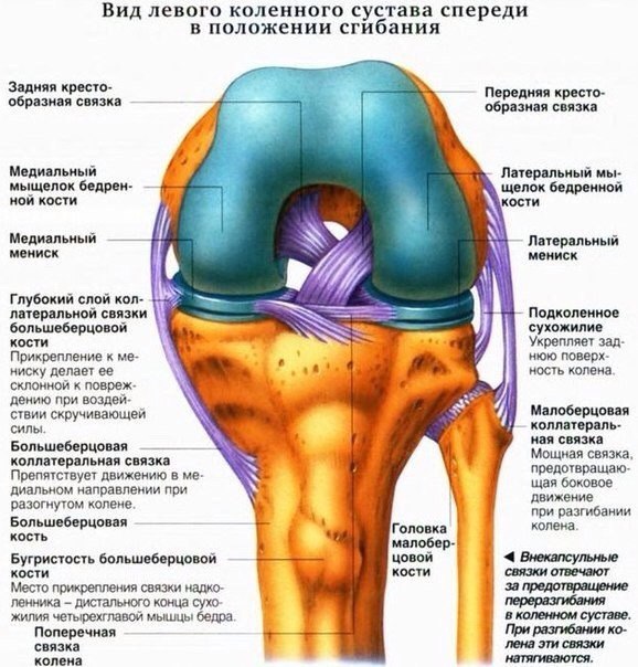 Колено, со всех сторон.