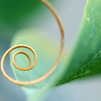 Татьяна Васькова | Санкт-Петербург