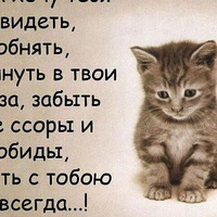 Ирина Гусарова | Каменка