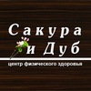 "Сакура и Дуб" ЦЕНТР ФИЗИЧЕСКОГО ЗДОРОВЬЯ