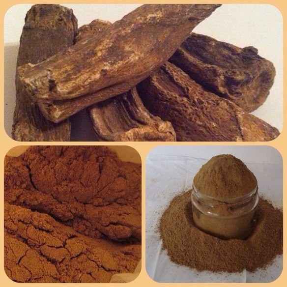 Аль-Къуст (англ. Bryone, франц. Couleuvre, латин. Costus, кит. Mu Hiang) – разновидность деревьев. Их высота достигает 1,5 метра, они имеют листья, ствол, корни и произрастают в Индии. Часть, которая используется при лечении – кора и корни, которые бывают белыми и черными. 