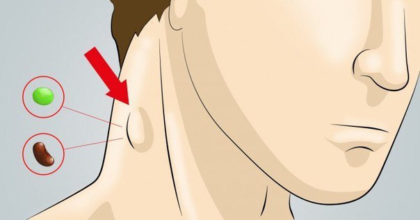 10 простых способов очищения лимфатической системы