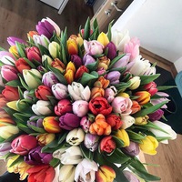 Офелия Алексанян