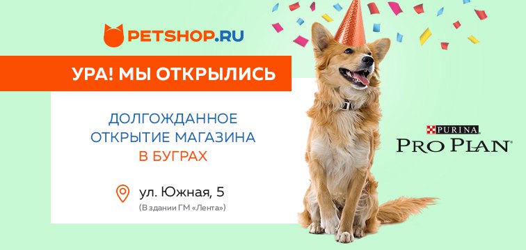 Petshop Ru Интернет Магазин Мурманск