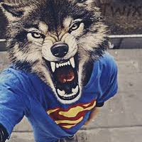 Артемий Смирнов | 