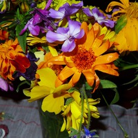 Василёк Балабас