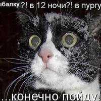 Василий Кудряшов | 