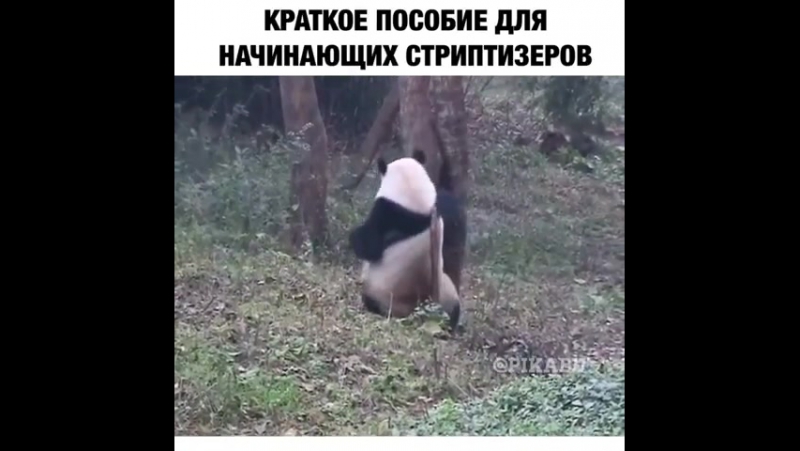 Начинающим стрептизерам