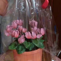 Юлия Железнякова | Новоульяновск