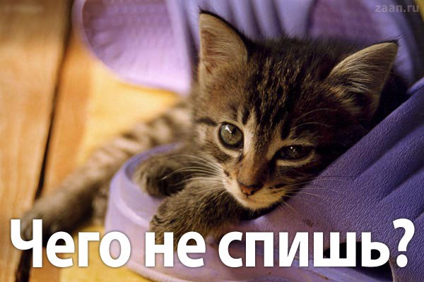 Именем, открытка неужели ты не спишь