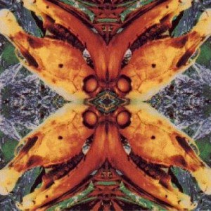 Acid Horse