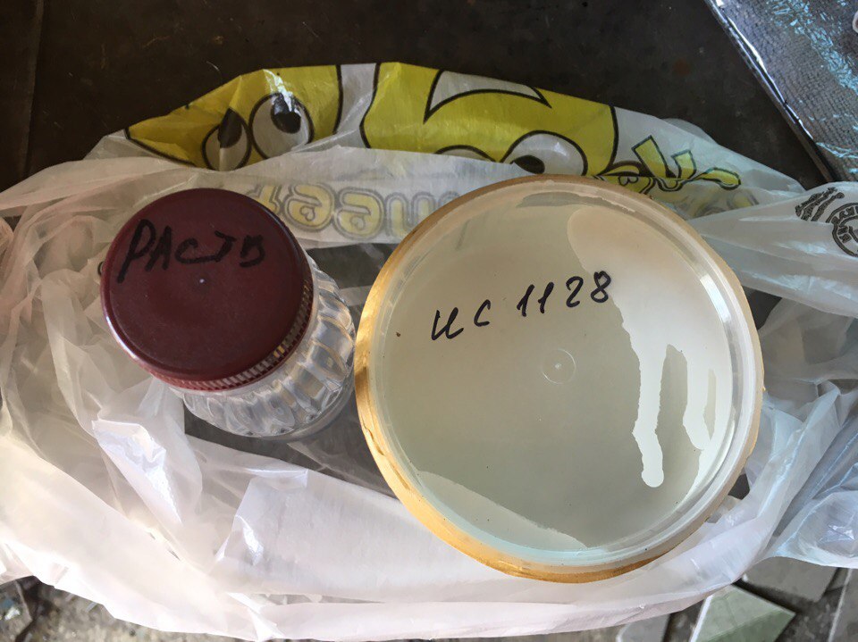 Открыть в новом окне