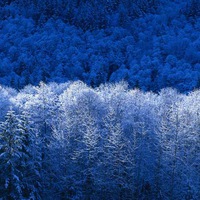 Женя Филатова | 