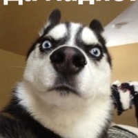 Таня Лапина |