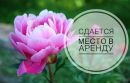 Объявление от Маргарита - фото №1