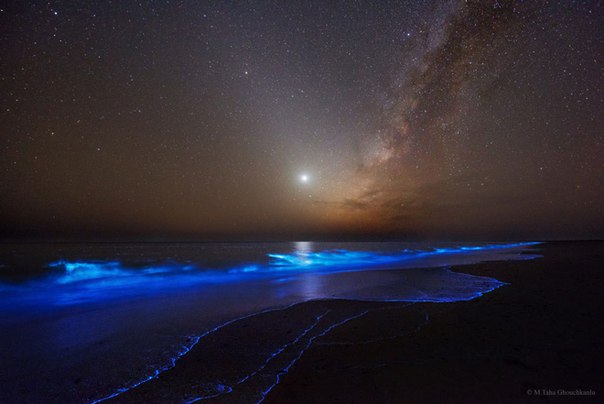 Ночь сияет: фото Оманского залива 