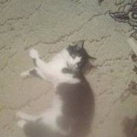 Ксения Горшкова | Александровск