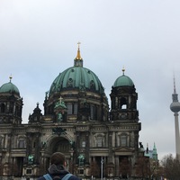 Анна Самарина | Курск