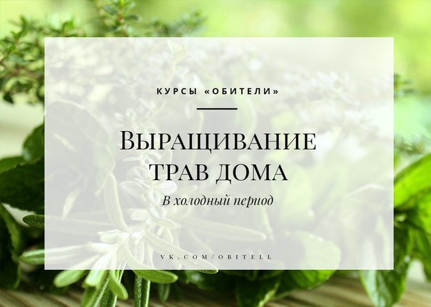 Мирослава Интернет Магазин Трав