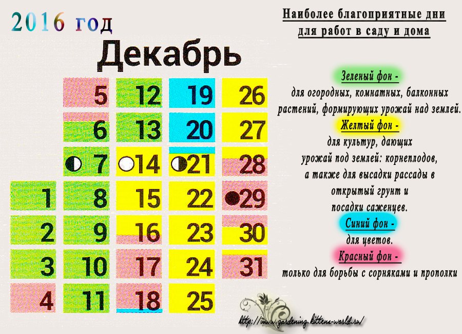 Декабрь 2016 - наиболее благоприятные дни для садоводов и огородников в декабре Декабрь 2016 - наиболее благоприятные дни для садоводов и огородников в декабре