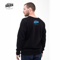 Толстовка реглан Барс.