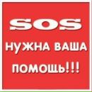 Объявление от Вероника - фото №1