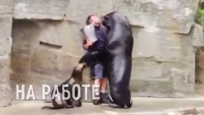 Нашки обнимашки