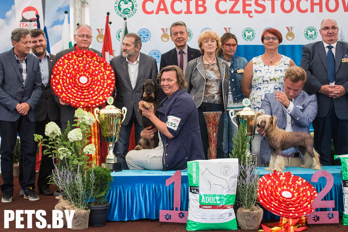 World Dog Show (Чемпионат мира собак) в 2018 году World Dog Show (Чемпионат мира собак) в 2018 году