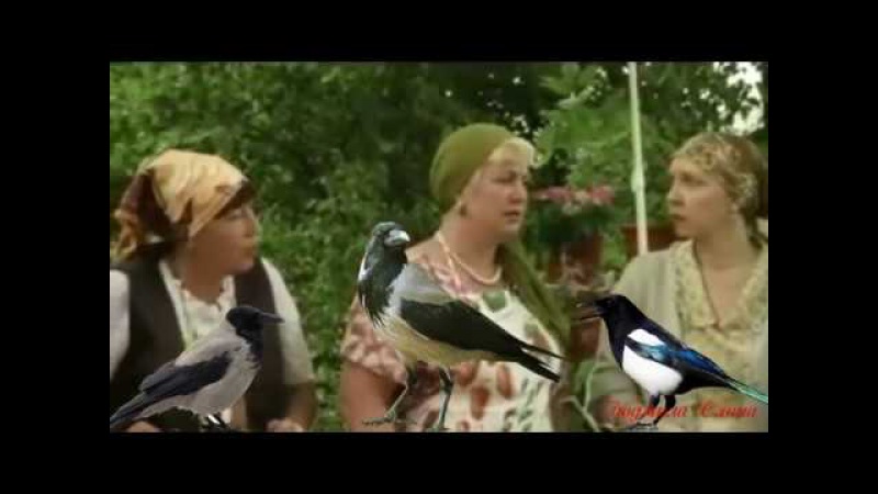 Сплетница... прикольн