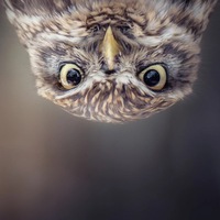 Ирина Бардукова