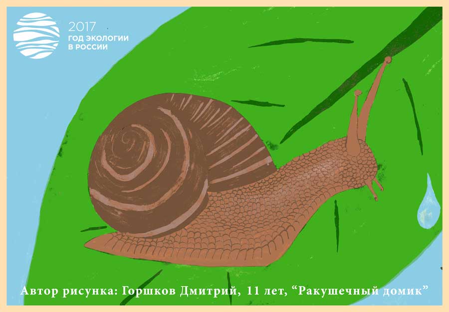 «Ракушечный домик» Дмитрия Горшкова «Ракушечный домик» Дмитрия Горшкова
