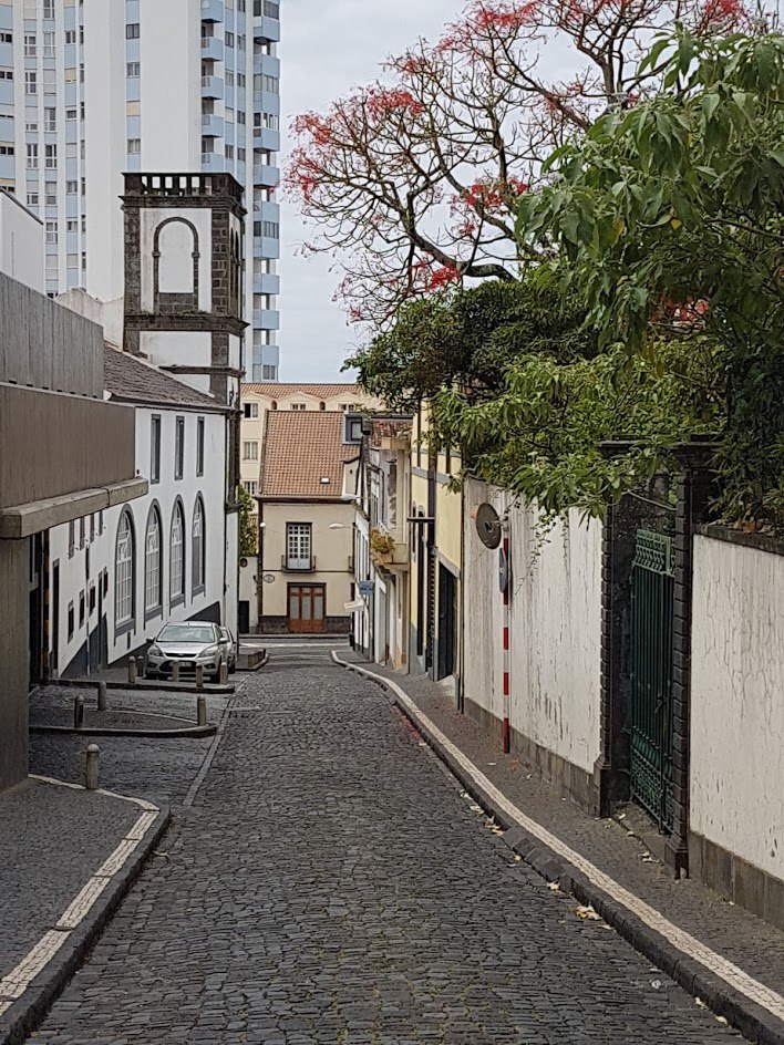 Цветущие Азоры и немного Синтры