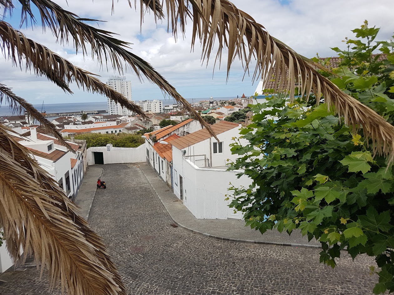 Цветущие Азоры и немного Синтры