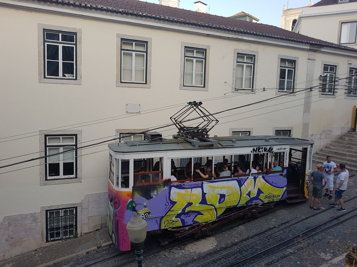 Цветущие Азоры и немного Синтры