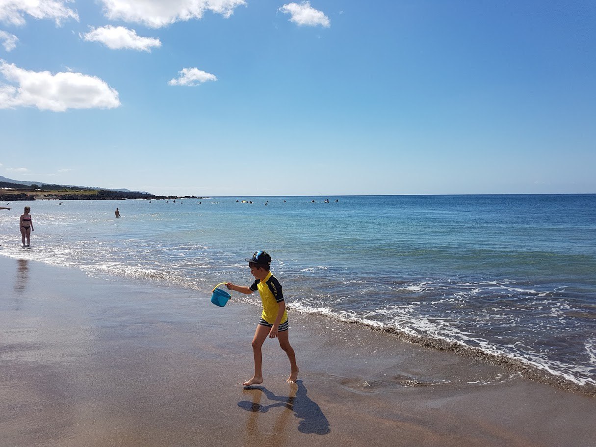 Цветущие Азоры и немного Синтры